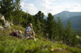 Mountain Summer in the Nockberg Mountains