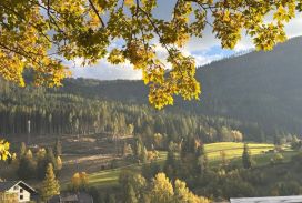 haus sonnblick lage sommer